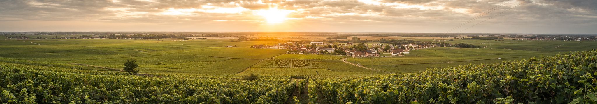 Événement GALLEON - Les 4 Vignerons - Édition 2023