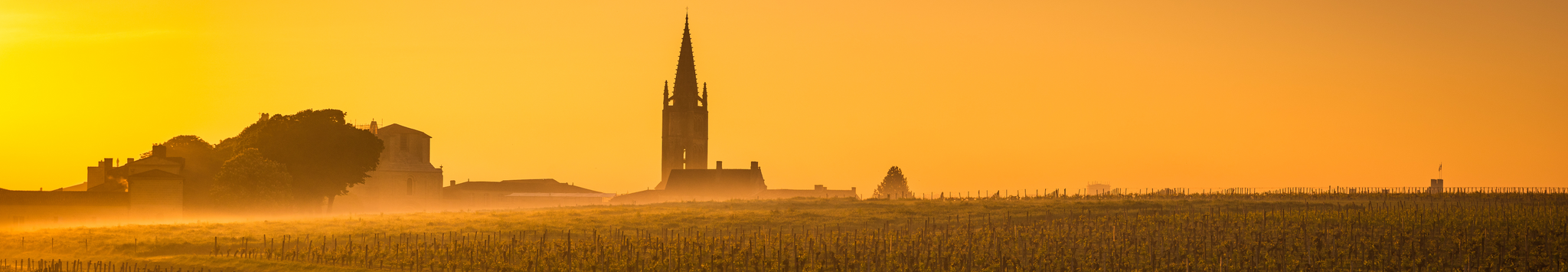 Wines from Bordeaux