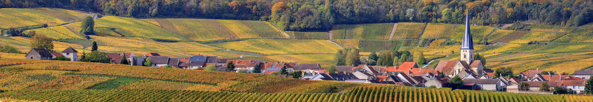 Pre-Order | Champagnes & Grands Vins de Bordeaux