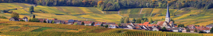 Pre-Order | Champagnes & Grands Vins de Bordeaux