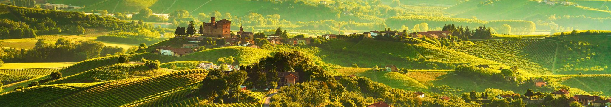 Discover Fontanafredda