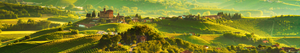 Discover Fontanafredda