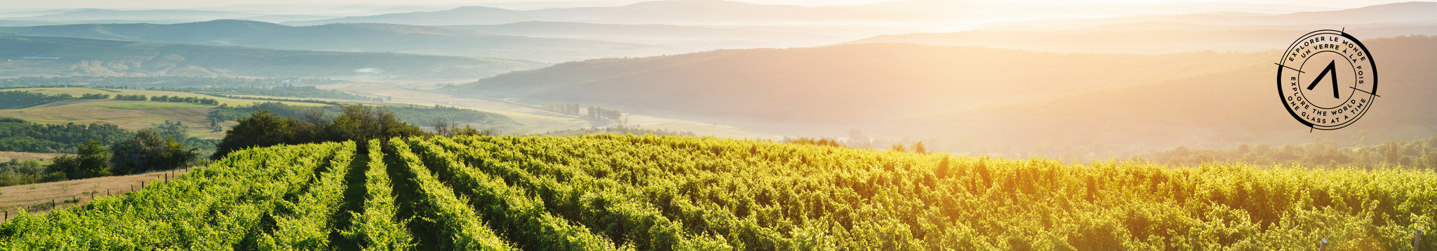 Producteur de vins de la semaine GALLEON