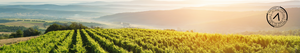 Producteur de vins de la semaine GALLEON