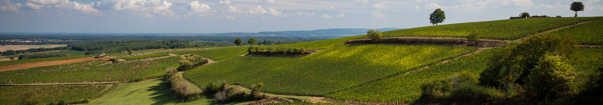 Domaine Feuillat-Juillot