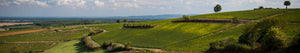 Domaine Feuillat-Juillot