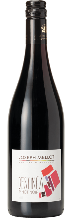 Destinéa Pinot Noir 2023, Joseph Mellot
