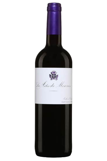 Les Ailes de Mercuès 2020, Château de Mercuès